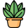 The Psychedelic Time Warp of Death: Datura and DMT – Certified Yapper Avatar